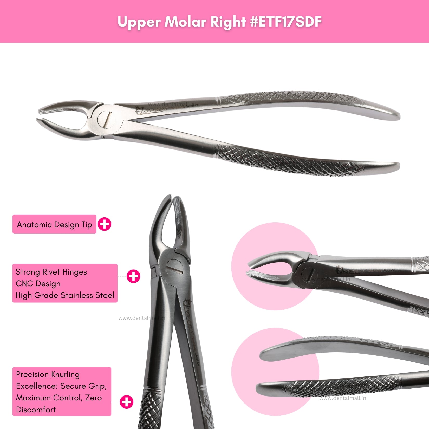 Extraction Tooth Forceps Kit – Standard-English Pattern Dull Finish, Set of 12 Pcs #ETFK12SDF