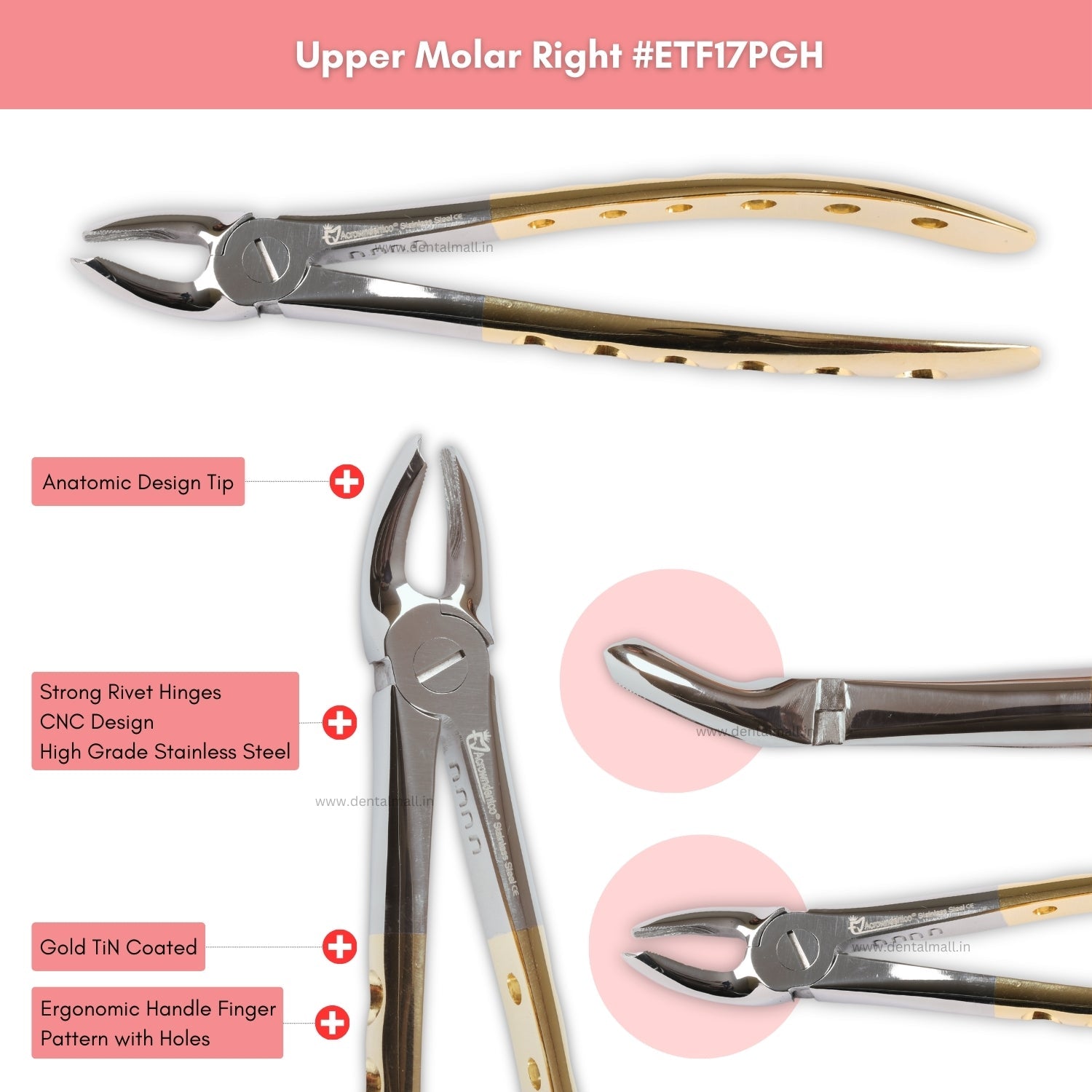 Extraction Tooth Forceps Kit – Premium Quality Finger Pattern with Holes Handle, Gold TiN Coated (Set of 12 Pcs) #ETFK12PGH