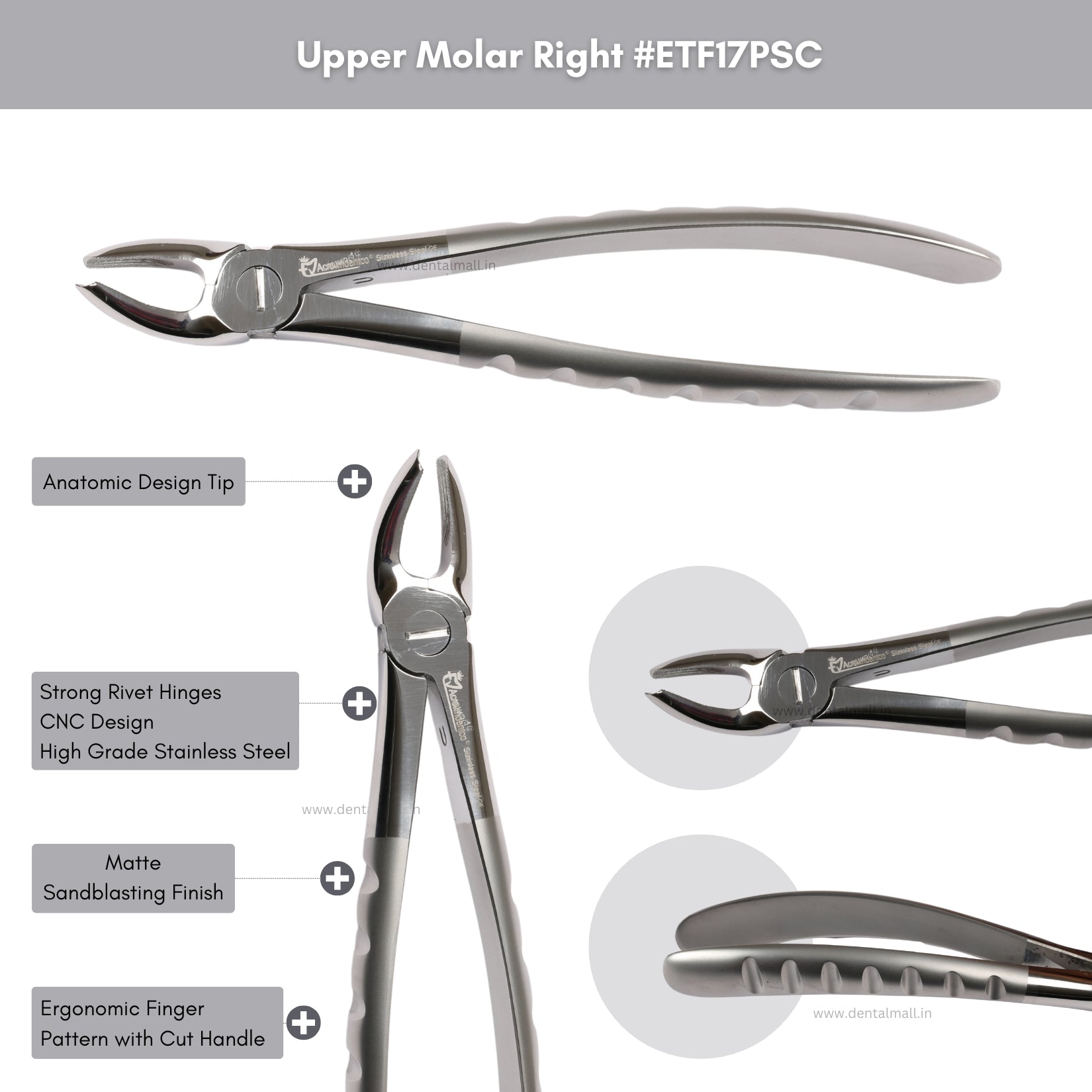 Extraction Tooth Forceps Kit - Premium Quality Finger Pattern with Cut Handle Matte Sandblasting Finish (Set of 12 Pcs) #ETFK12PSC