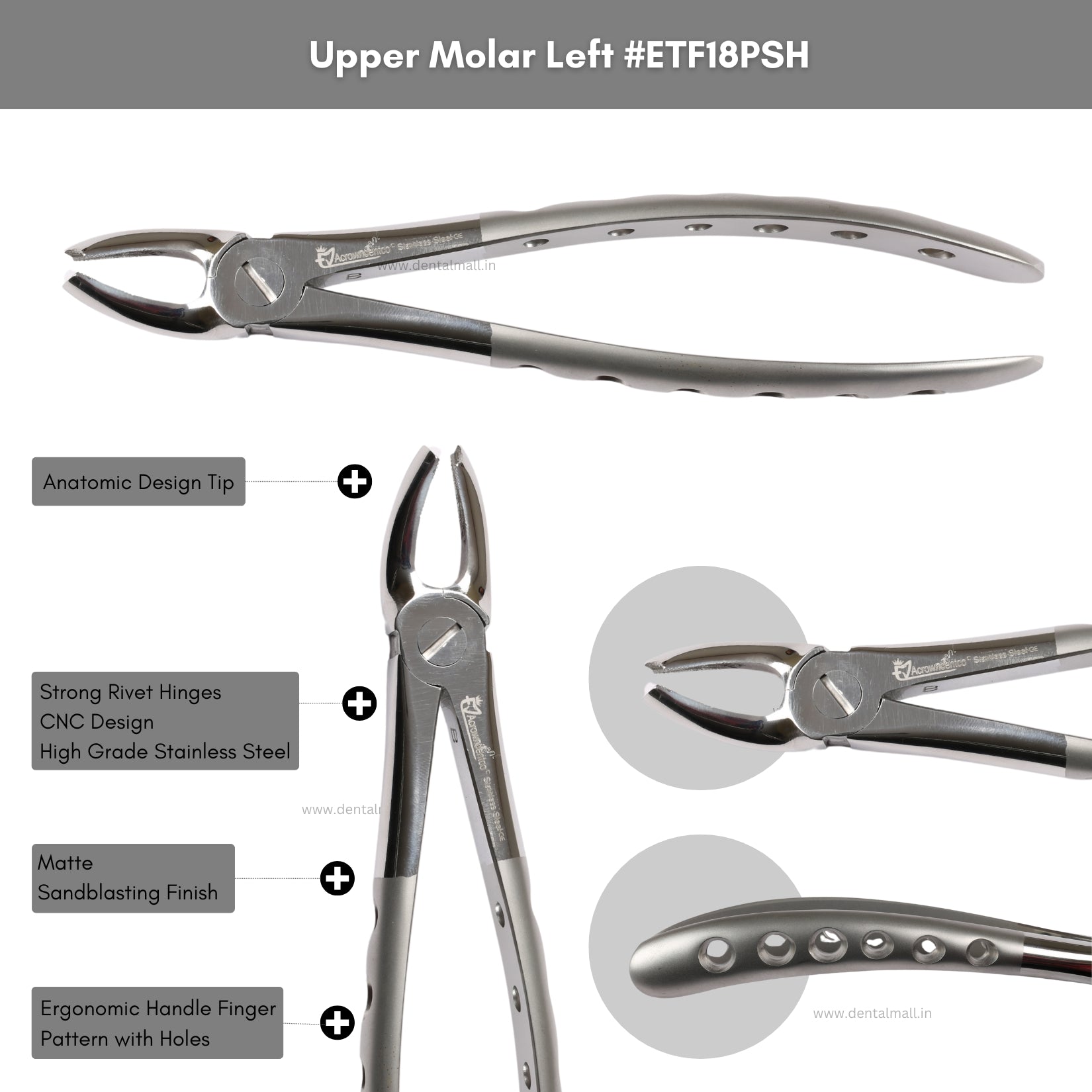 Extraction Tooth Forceps Kit – Premium Quality Finger Pattern with Holes Handle Matte Sandblasting, Set of 12 Pcs #ETFK12PSH