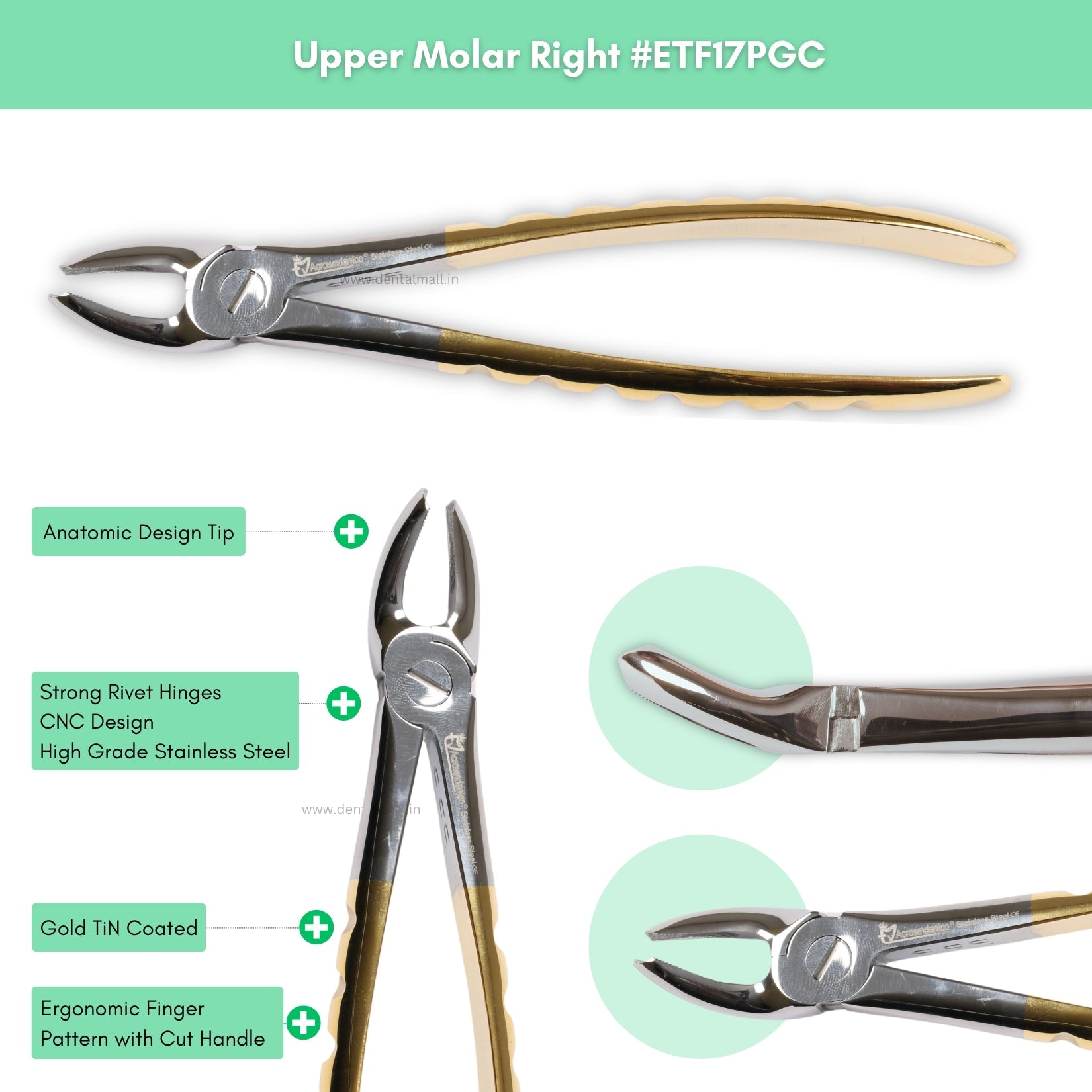 Extraction Tooth Forceps Kit – Premium Quality Finger Pattern with Cut Handle, Gold TiN Coated (Set of 12 Pcs) #ETFK12PGC