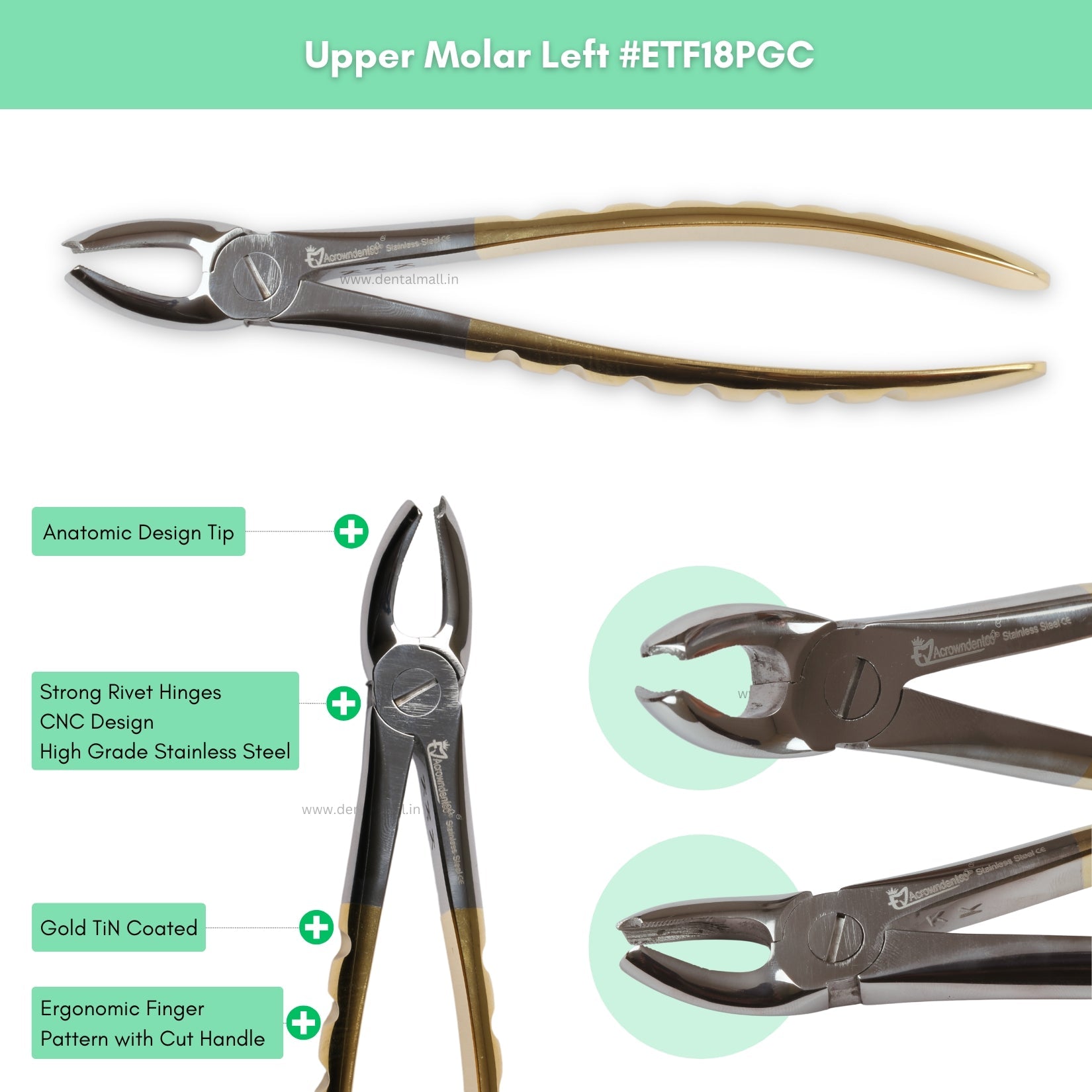 Extraction Tooth Forceps Kit – Premium Quality Finger Pattern with Cut Handle, Gold TiN Coated (Set of 12 Pcs) #ETFK12PGC