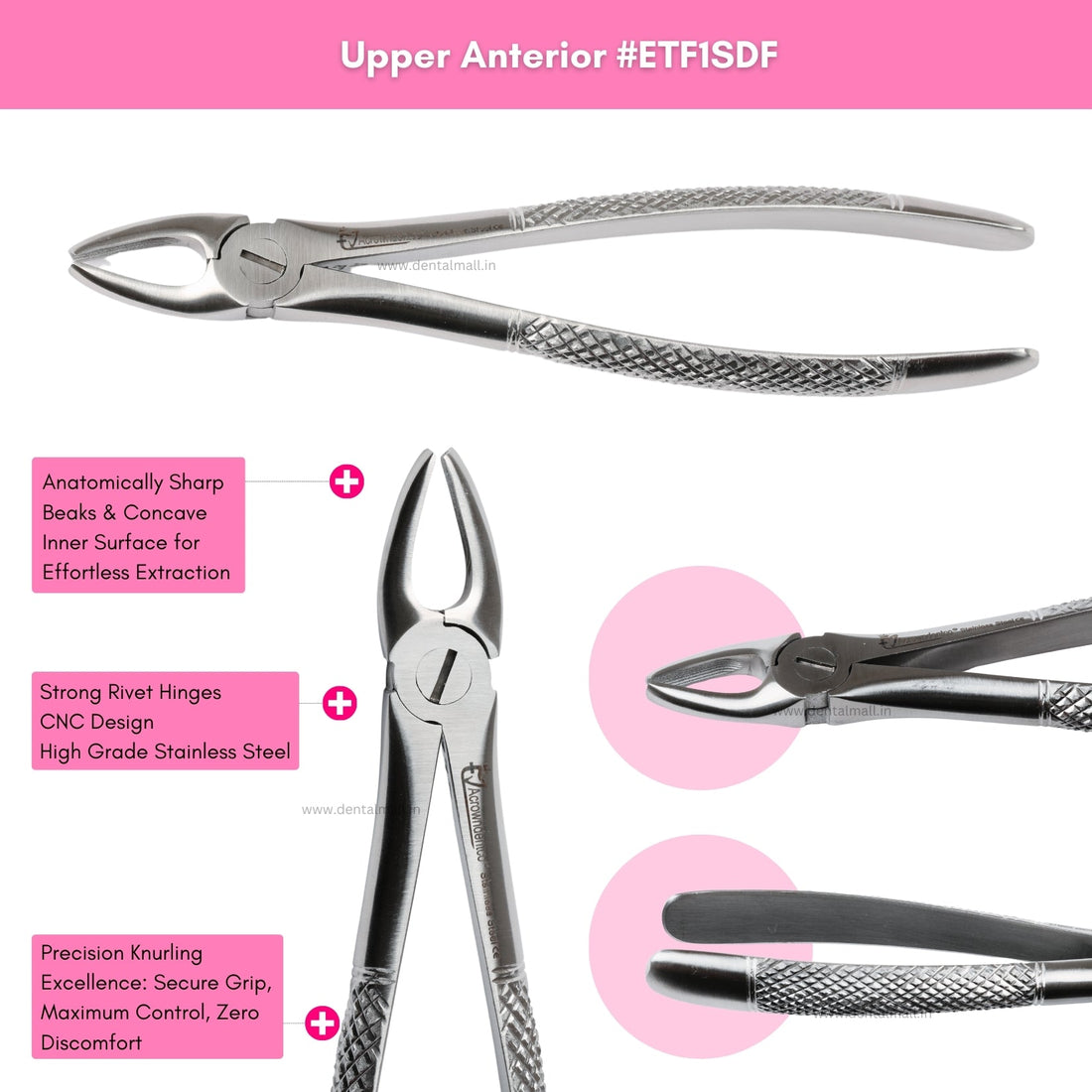 Extraction Tooth Forceps Kit – Standard-English Pattern Dull Finish, Set of 12 Pcs #ETFK12SDF