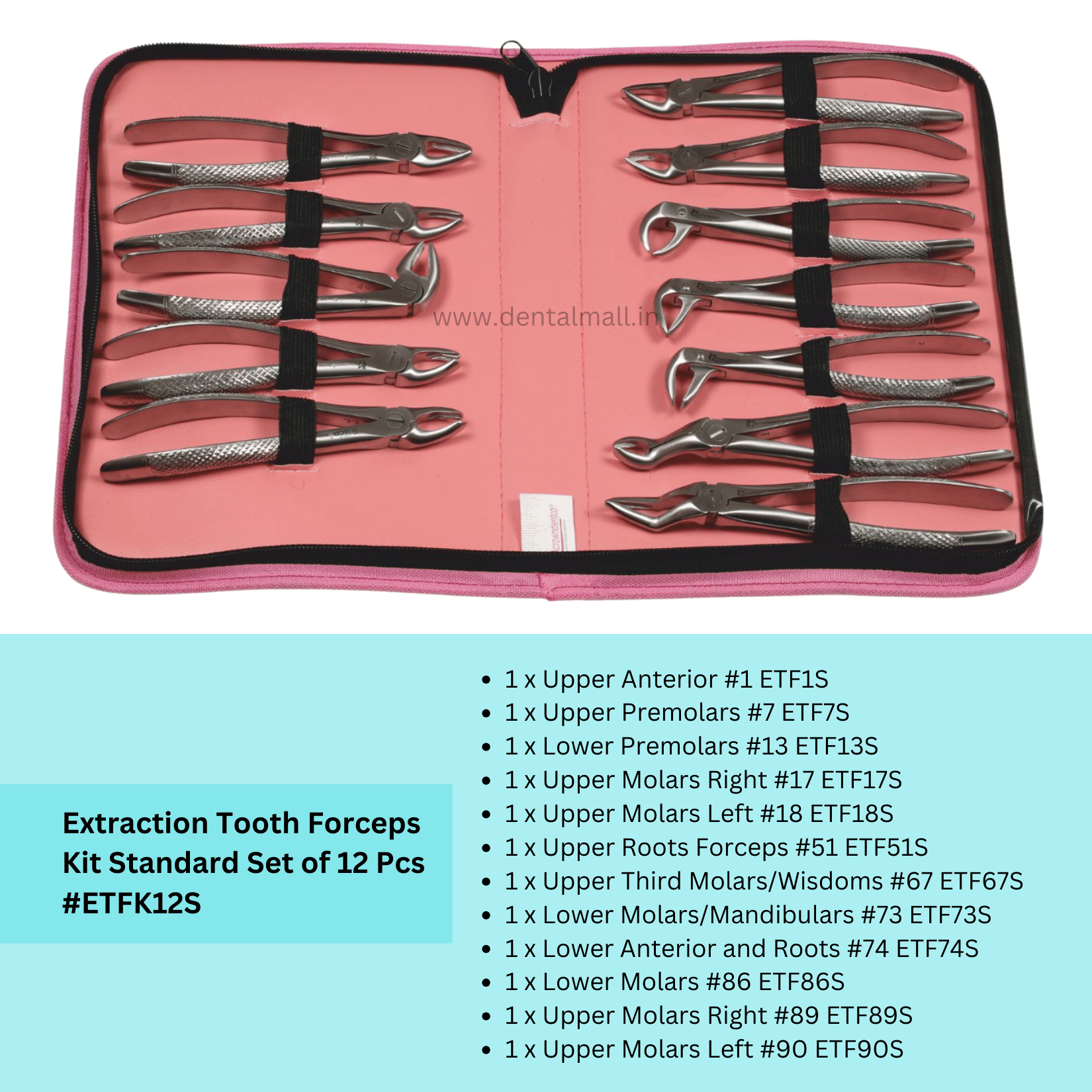 XpertOffer #I – Standard Offer Package Ideal for New Dental Clinic Set-Up | Includes 6 Essential Kits  🎁 FREE Safari Trolley Bag Included