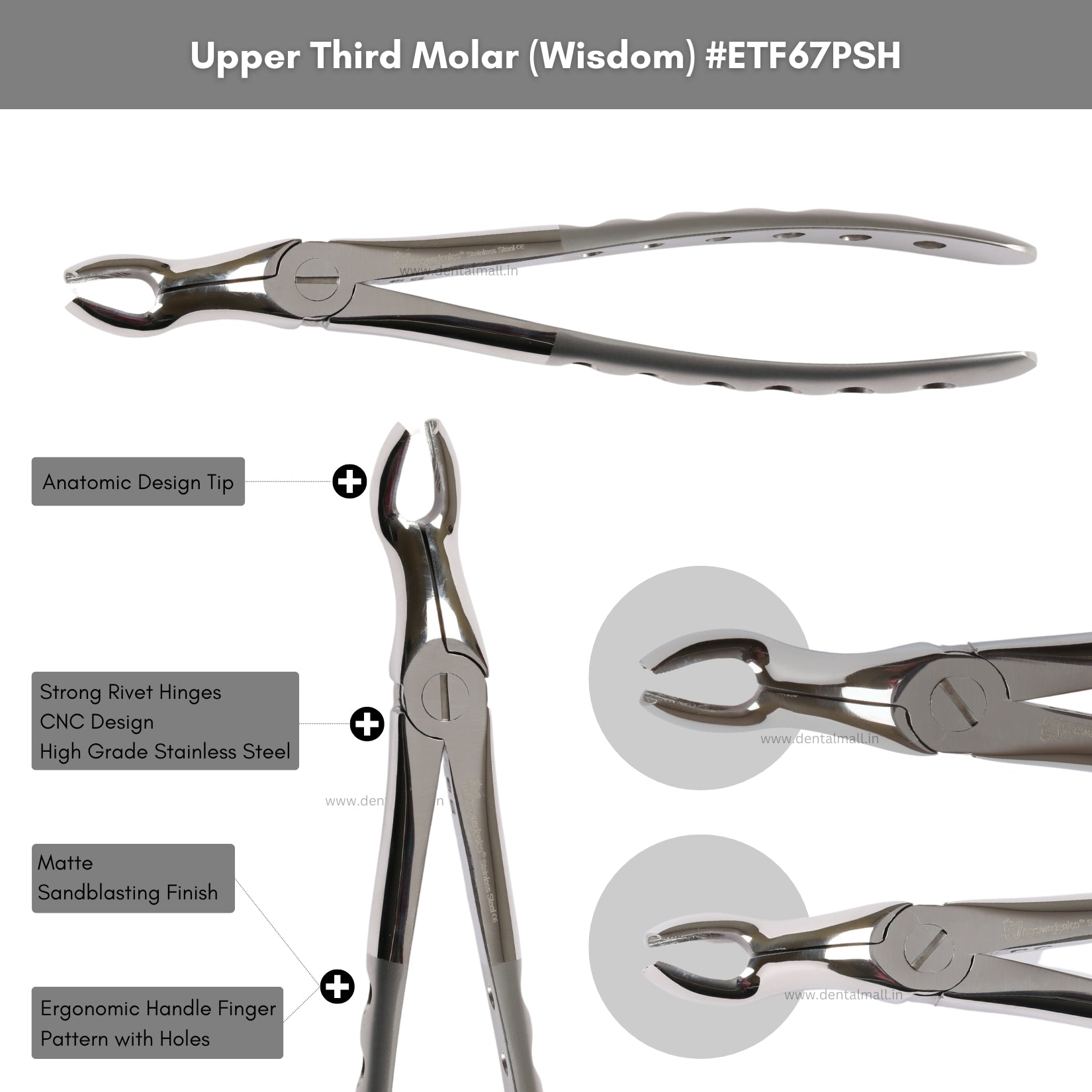 Extraction Tooth Forceps Kit – Premium Quality Finger Pattern with Holes Handle Matte Sandblasting, Set of 12 Pcs #ETFK12PSH