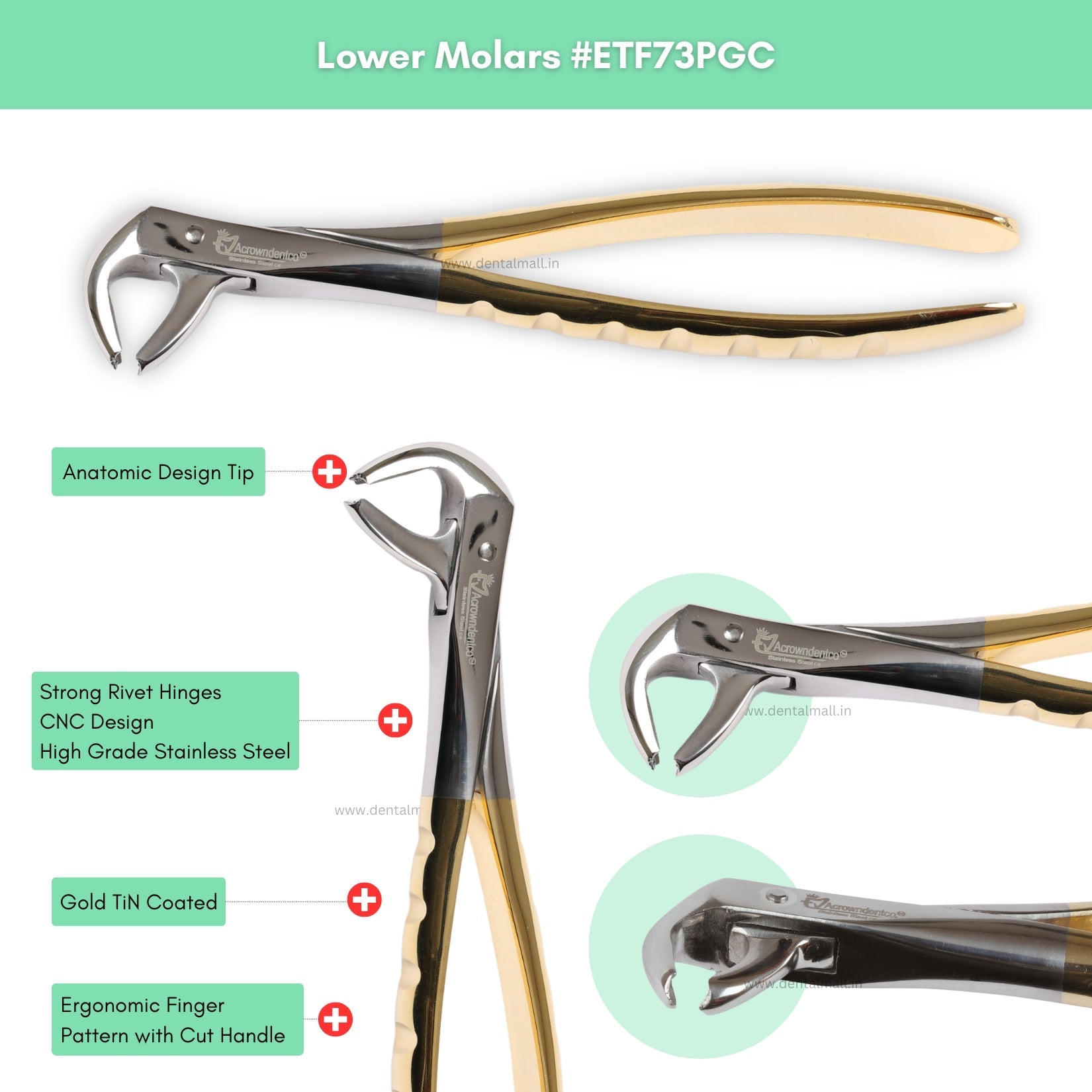Extraction Tooth Forceps Kit – Premium Quality Finger Pattern with Cut Handle, Gold TiN Coated (Set of 12 Pcs) #ETFK12PGC