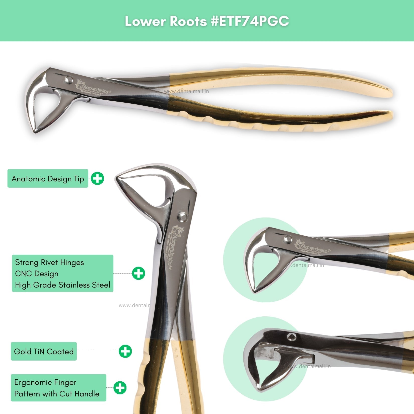 Extraction Tooth Forceps Kit – Premium Quality Finger Pattern with Cut Handle, Gold TiN Coated (Set of 12 Pcs) #ETFK12PGC