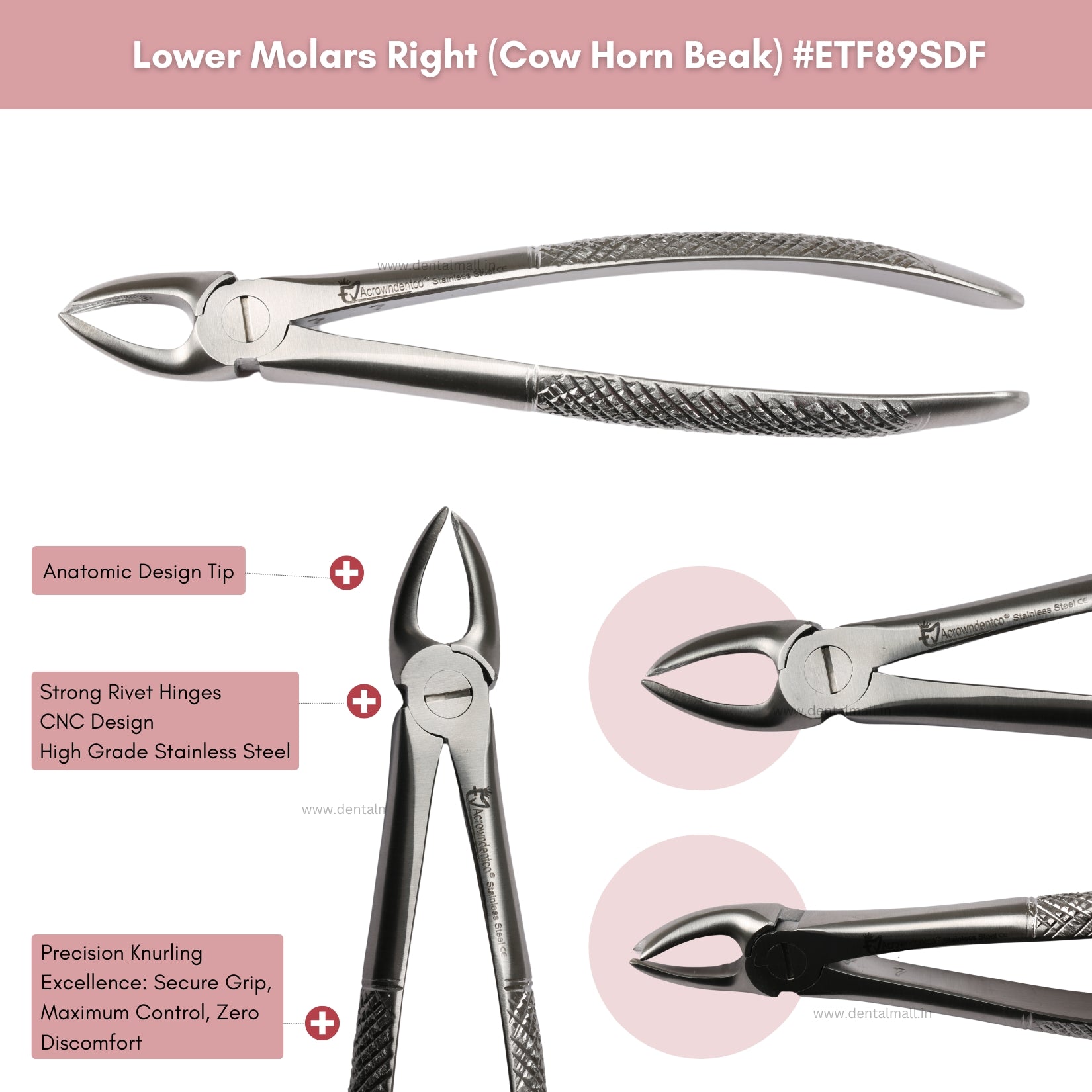 Extraction Tooth Forceps Kit – Standard English Pattern, Dull Finish, Set of 14 Pcs #ETFK14SDF