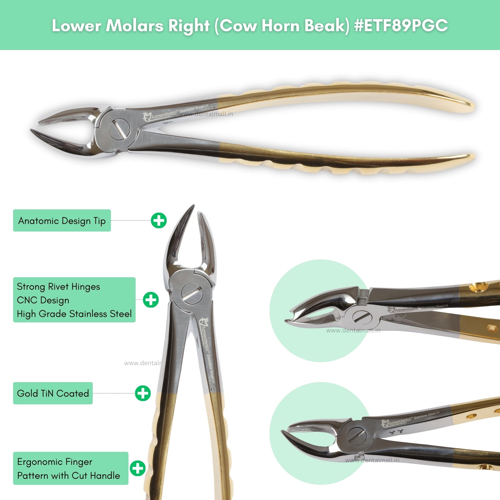 Extraction Tooth Forceps Kit – Premium Quality Finger Pattern with Cut Handle, Gold TiN Coated (Set of 12 Pcs) #ETFK12PGC