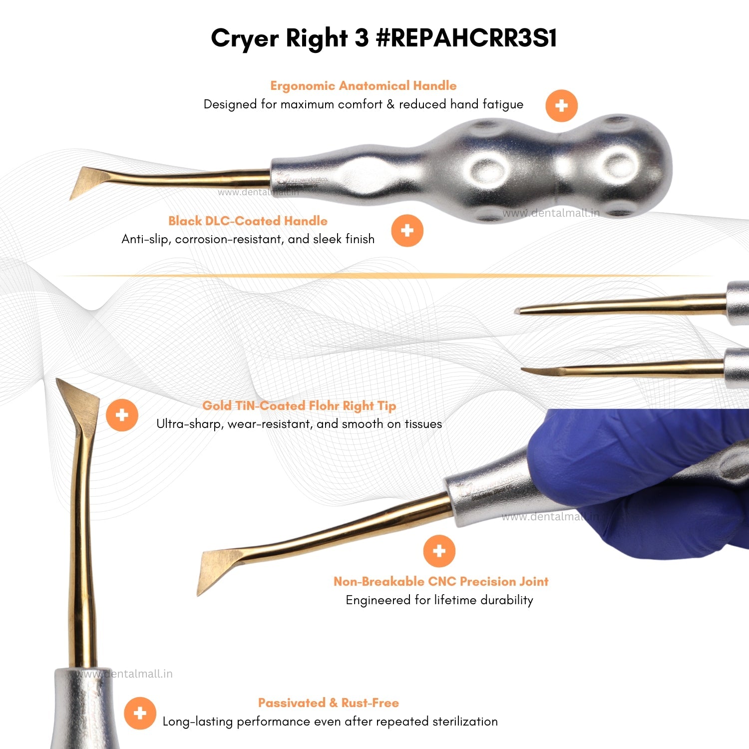 ROOT ELEVATORS PREMIUM ANATOMICAL HANDLE  SET OF 7 Pcs Anatomic SILVER DLC Handle | Gold TiN Coated Tip | CNC Non-Breakable Design Joint